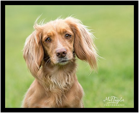 Digital Photographer_0437