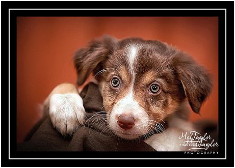 Digital Photographer_0440