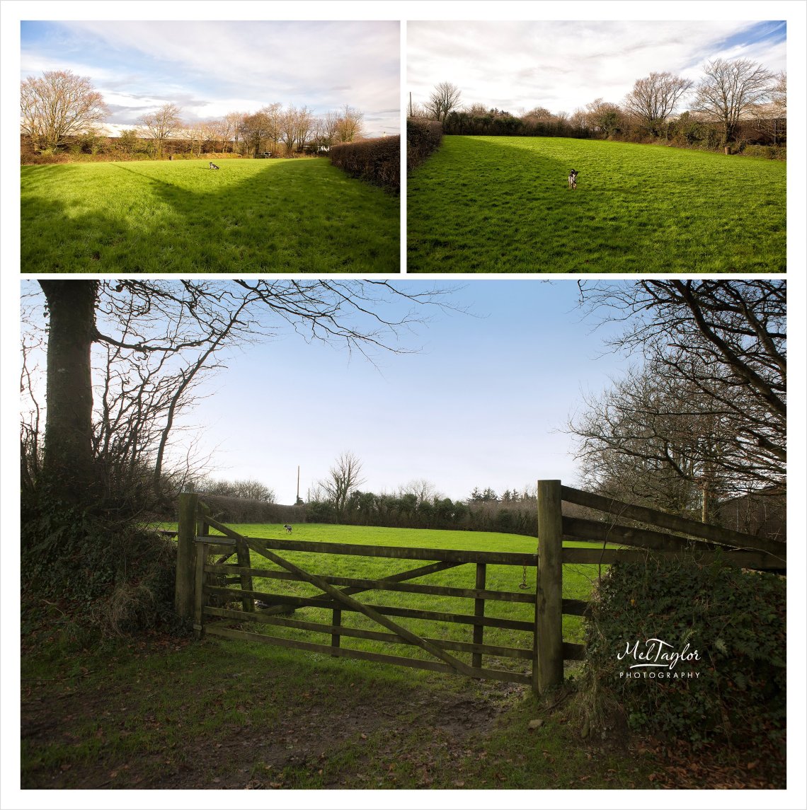 Digital Photographer_0447