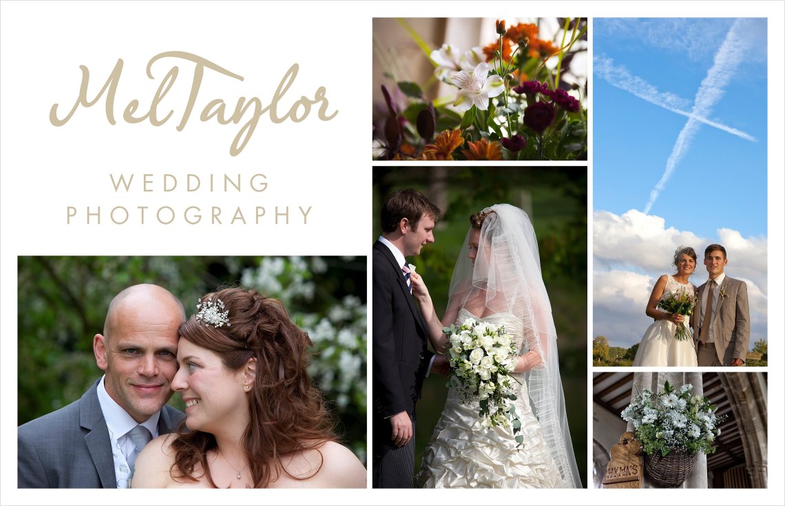 Canine and Equine Photographer_0099