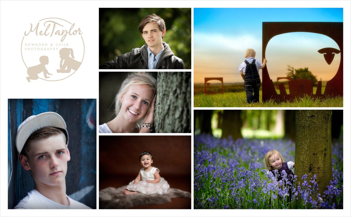 Canine and Equine Photographer_0322